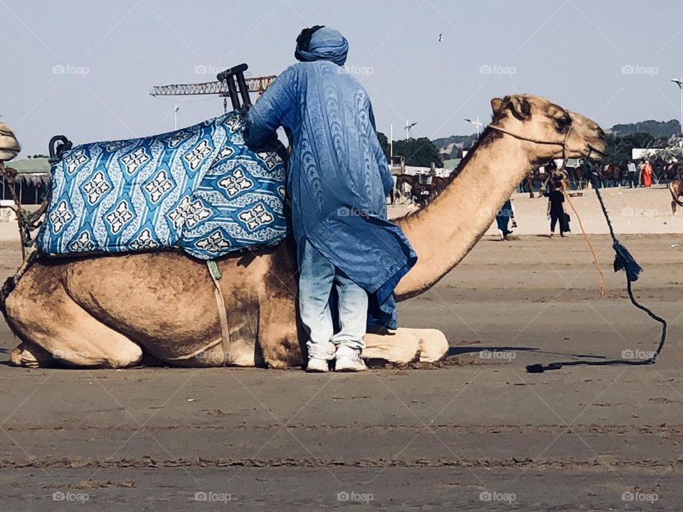 The man and the camel