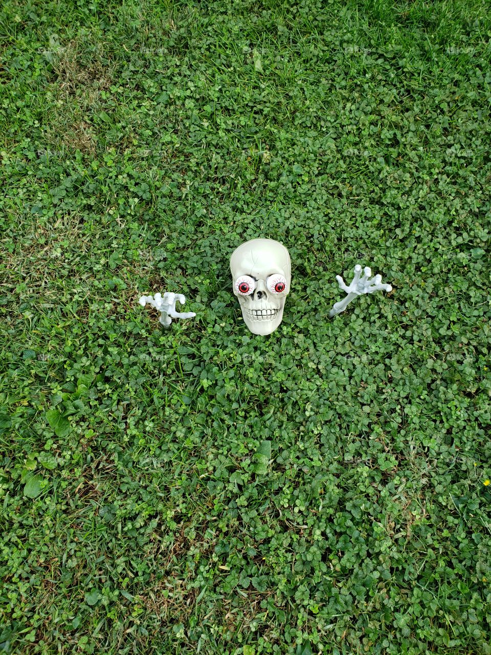 buried Alive skeleton