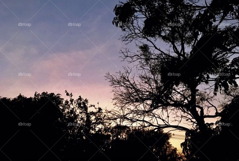 🌄🇺🇸 An extremely beautiful dawn in Jundiaí, interior of Brazil. Cheer the nature! / 🇧🇷 Um amanhecer extremamente bonito em Jundiaí, interior do Brasil. Viva a natureza!