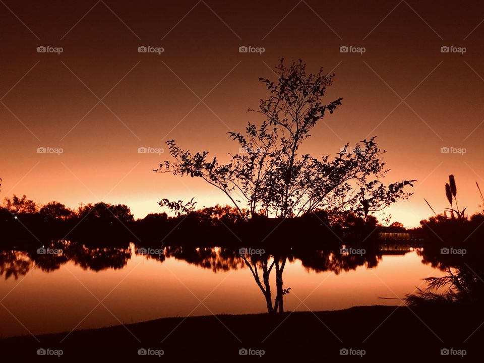 Sundown Colours making a Beautiful Early Pictures Capturing the Moment. Scenery moving in the Direction of Twilight.