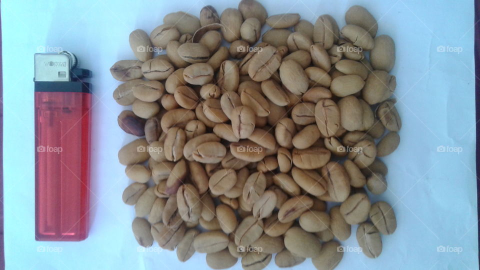 Big Seeds kind of Tenera Coffe