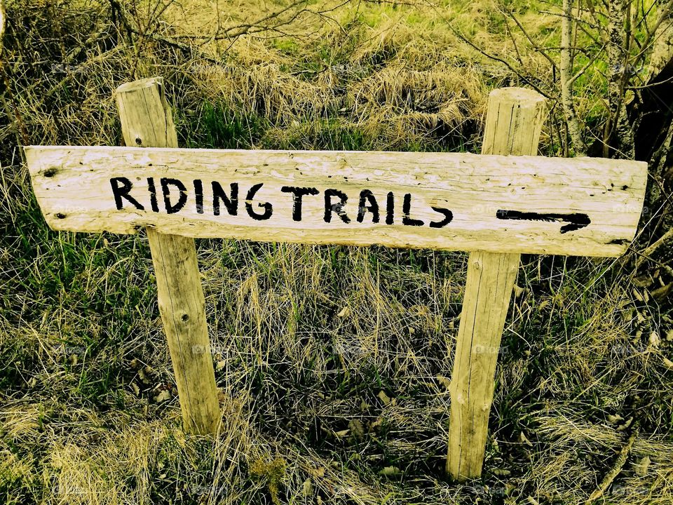 Riding trail