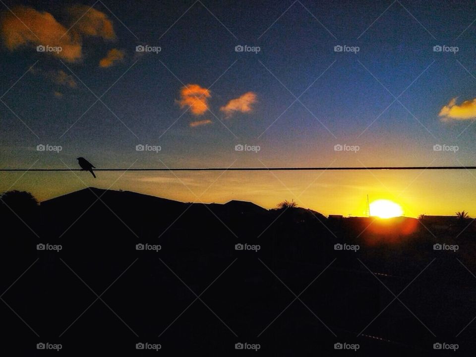Sunset, Silhouette, Evening, Backlit, Dawn
