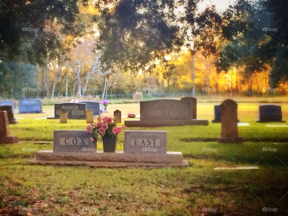 Cemetery sunshine 