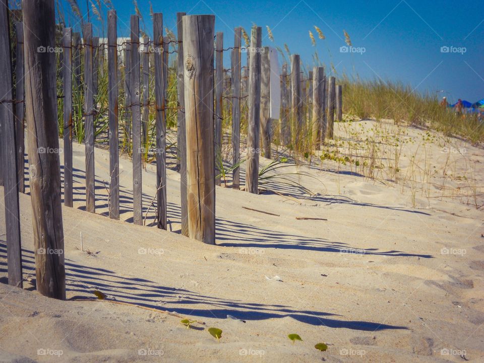 Wooden fence and grass at beach