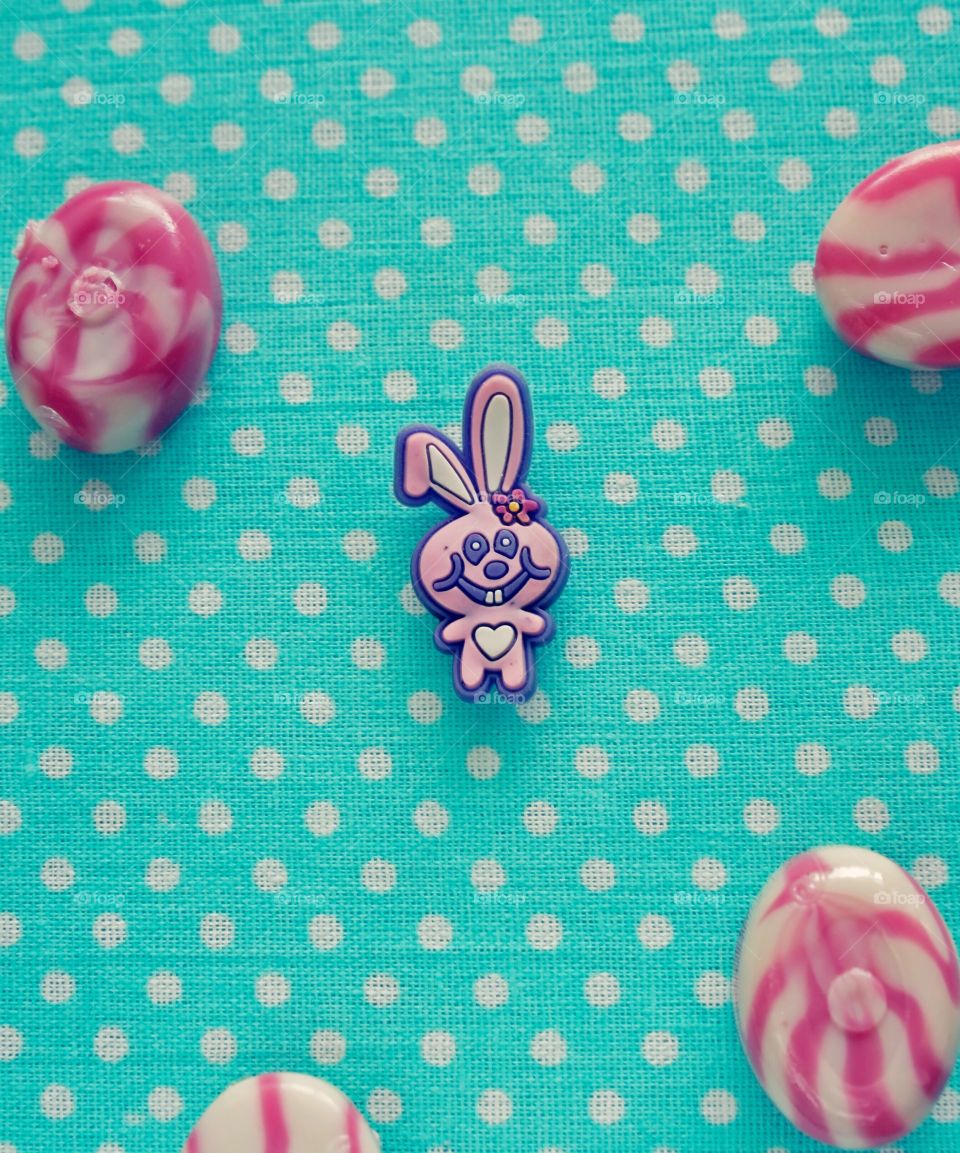 funny bunny with sweets on mint background