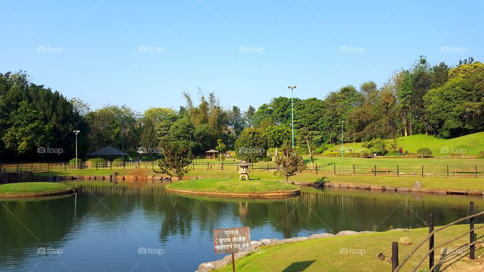 Park with lake
