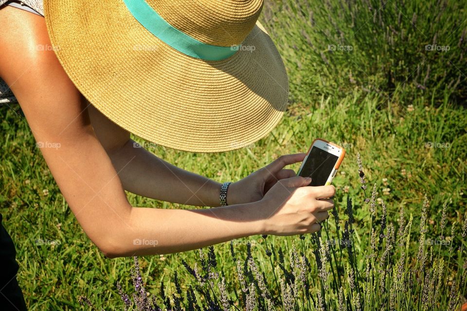 Photographing Lavender