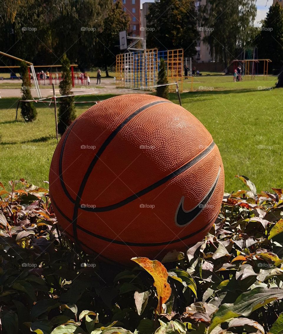 a ball is having a rest after the game