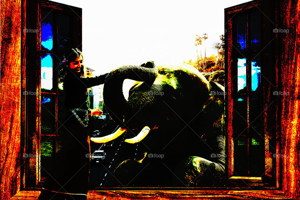 #elephent #girl #window #enviornment #manipulation #ps #adobe #photoshop #edits #3d #designgraphic  #DoubleExposure #effect