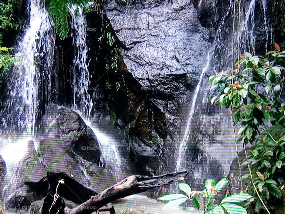beautiful water fall