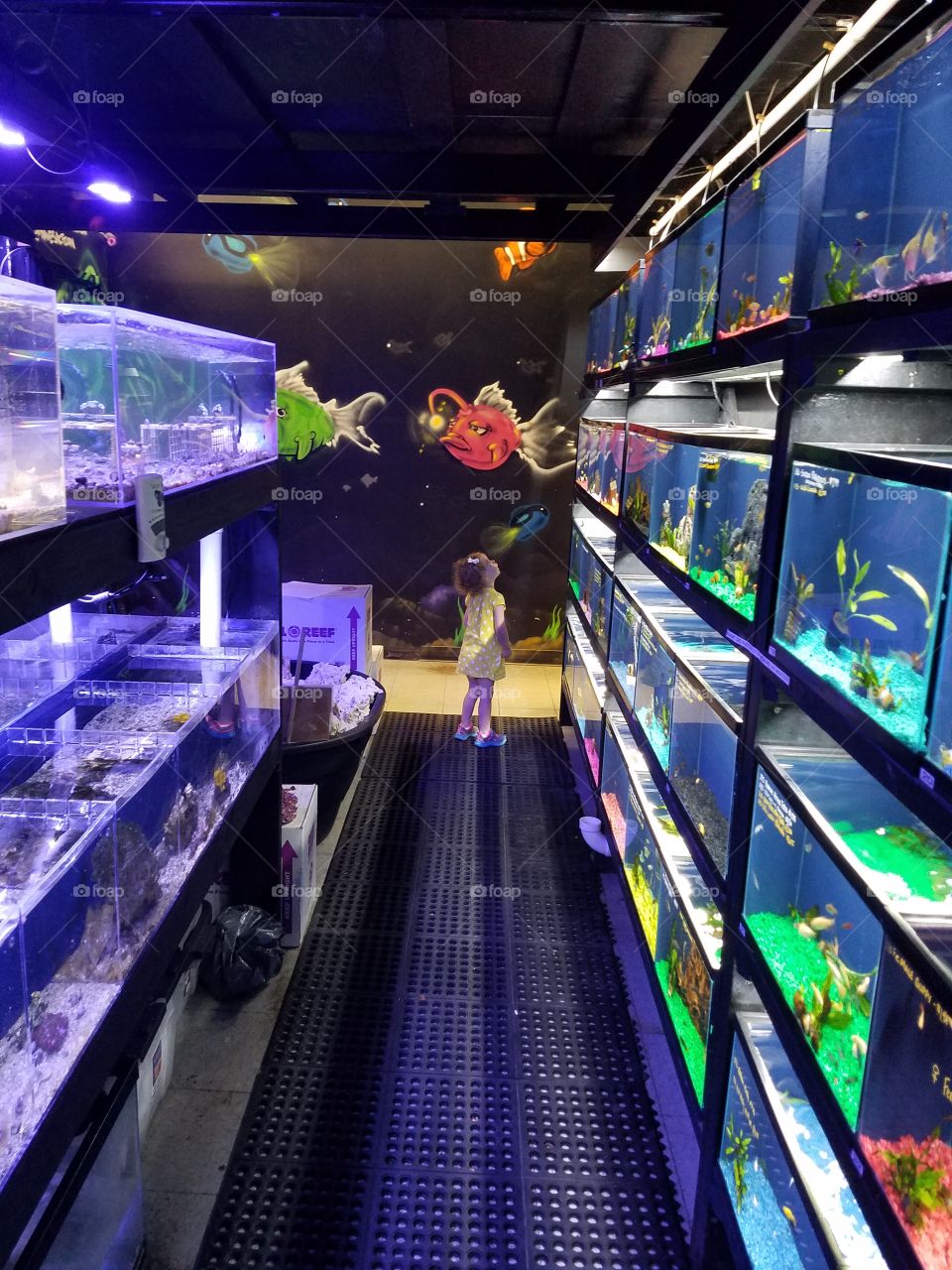 Girl looking at fish in a pet store.