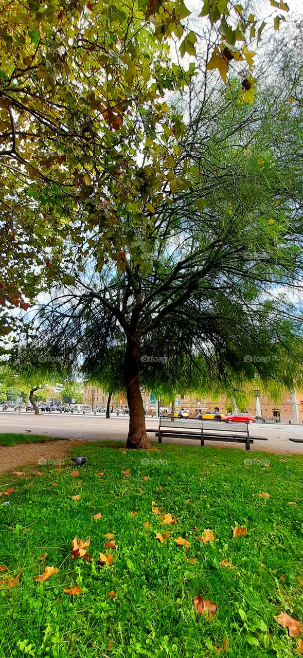 Barcelona street