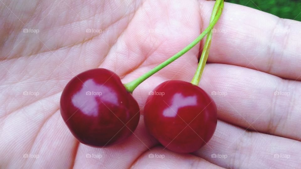 cherry