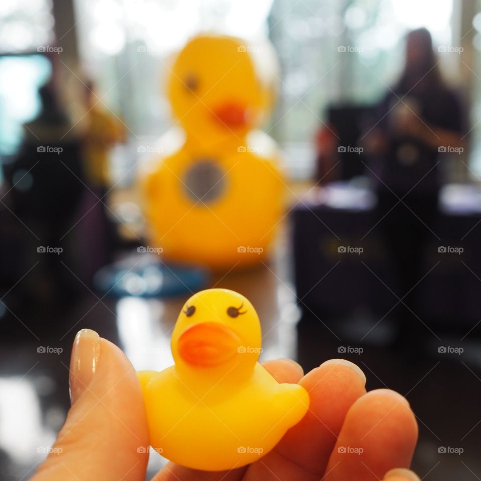 Small yellow duck with larger duck in background with bokeh style