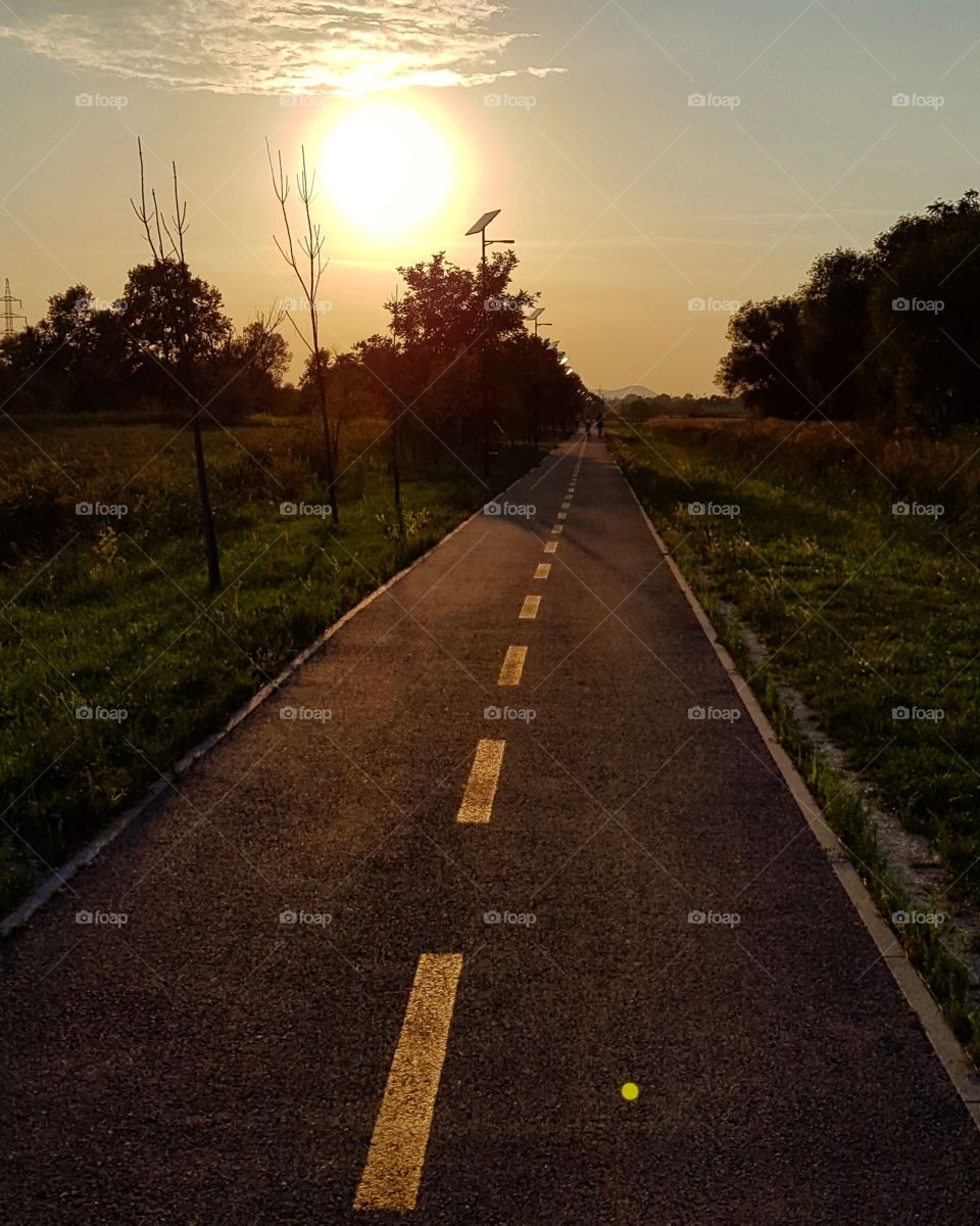 | Bike path 🚴‍♂️