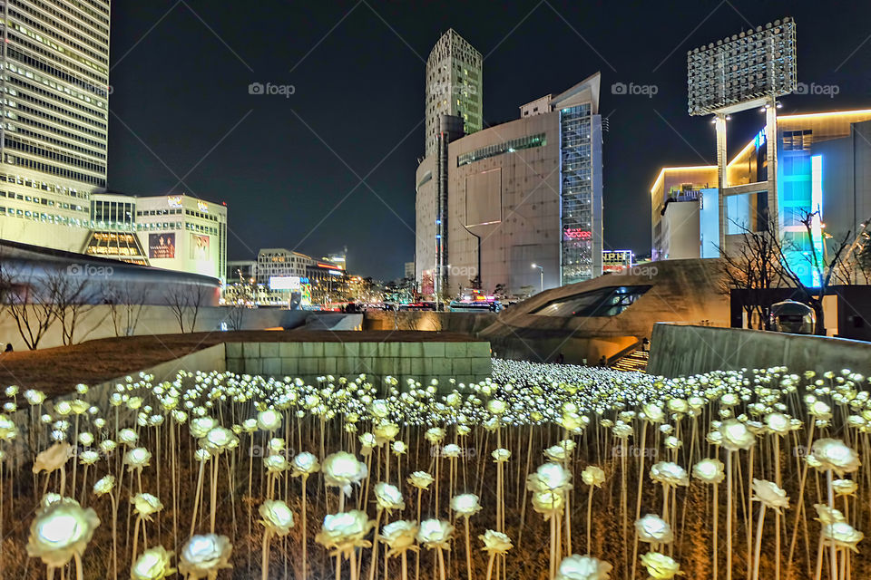 Flowers at city