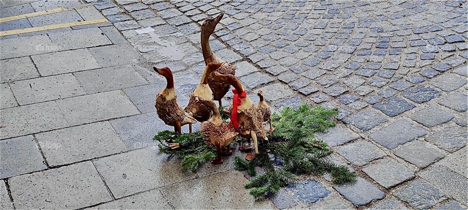 This sculpture of a ducks garnished with real leafy twigs and flowers was found on the “Odeonsplatz” in “München”, capital of “Bavaria” near the “Hofgarten”, a park built by Emperor “Maximilian I” in the 17th century. 2023. Hypnotic Productions