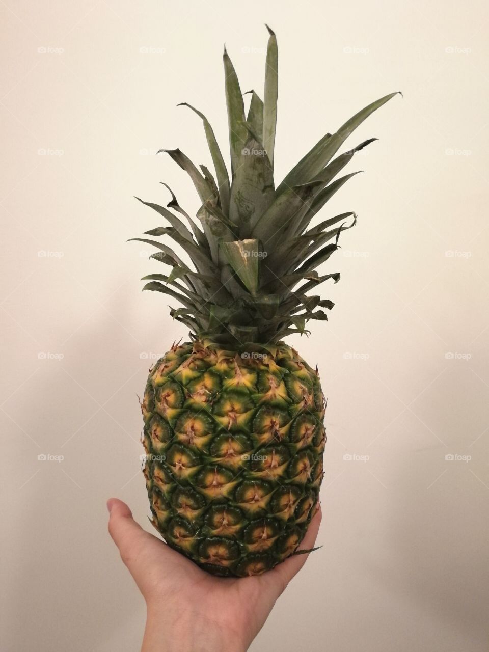 Pineapple