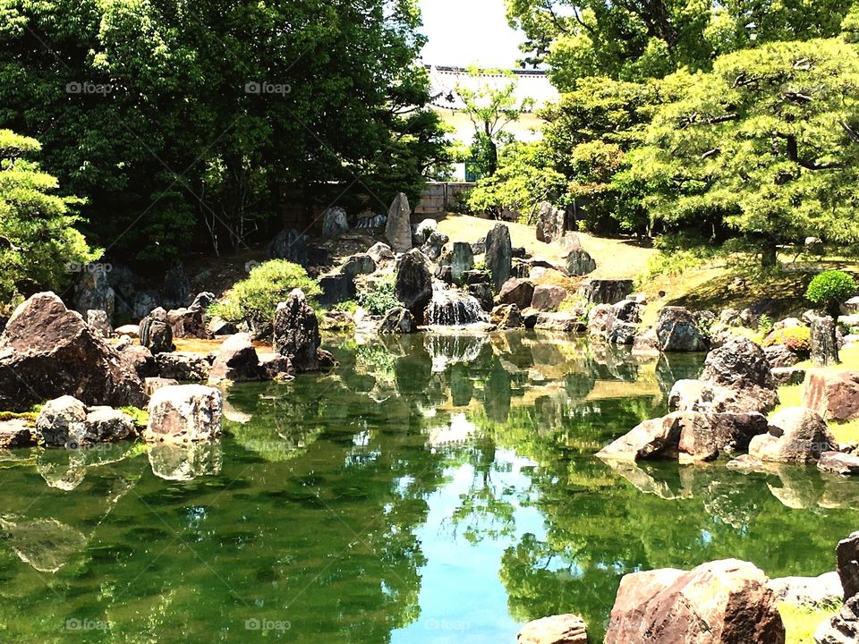 Water, Nature, Summer, No Person, Outdoors