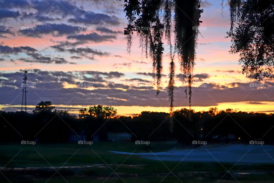 Tree, Sunset, Landscape, Dawn, Evening