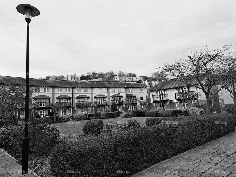 black and white photo of a row of houses