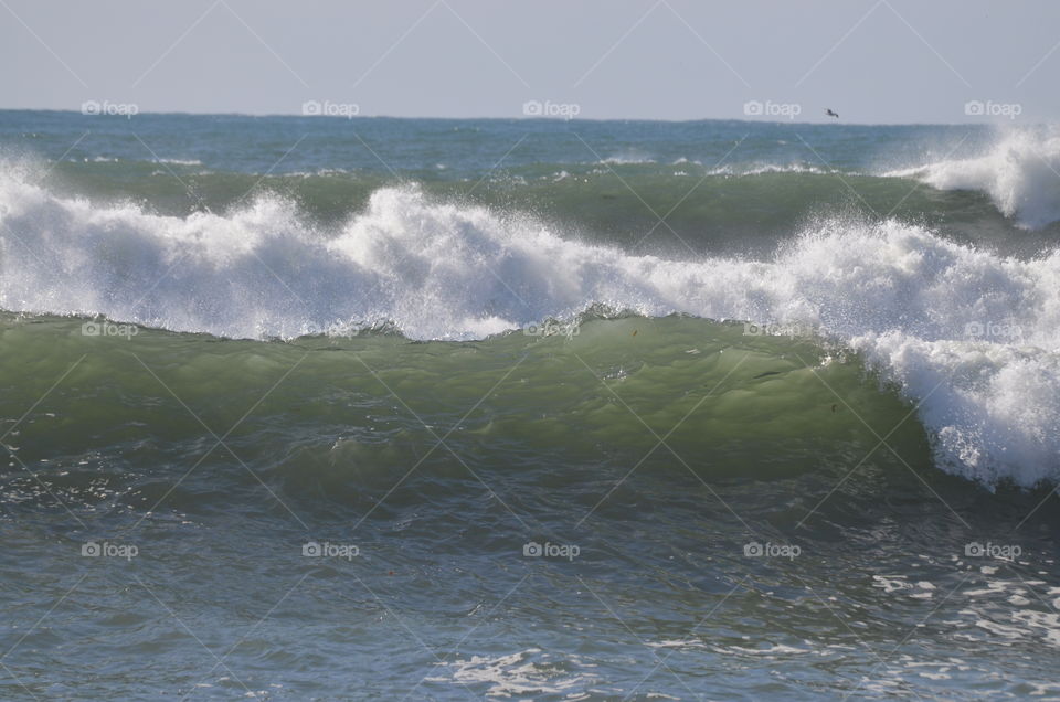 Crazy waves