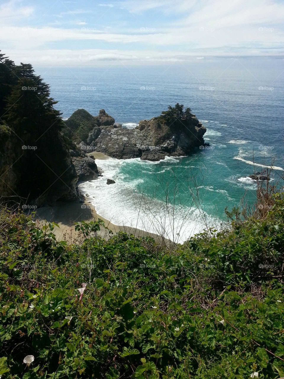 pacific coast