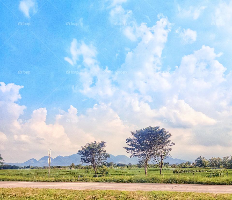 Amazing nature panorama of the road