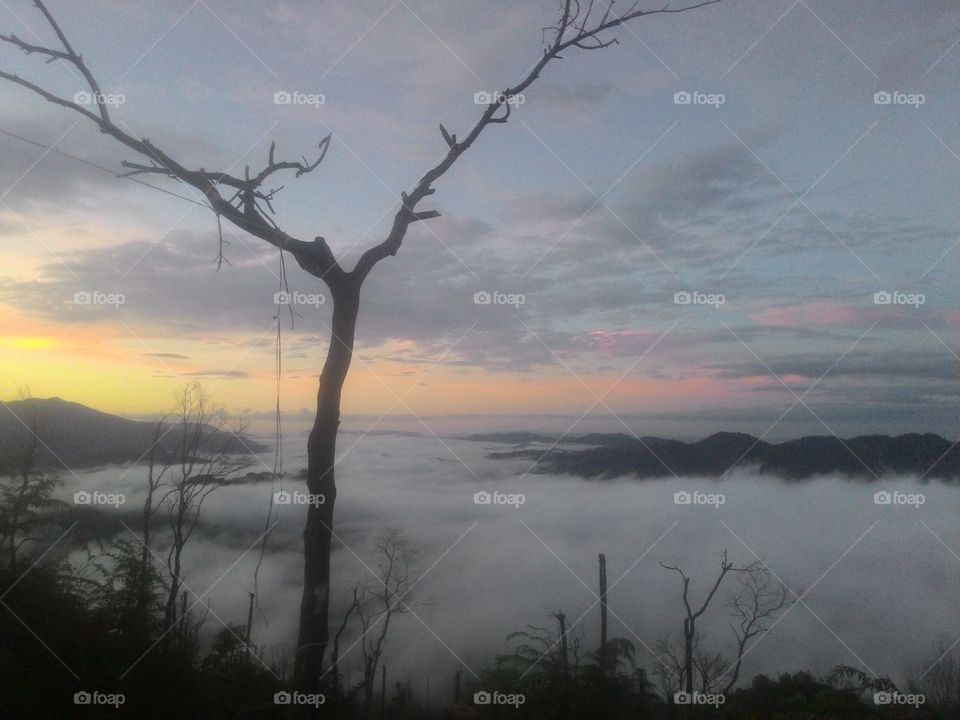 Dawn, Fog, Sunset, Landscape, No Person