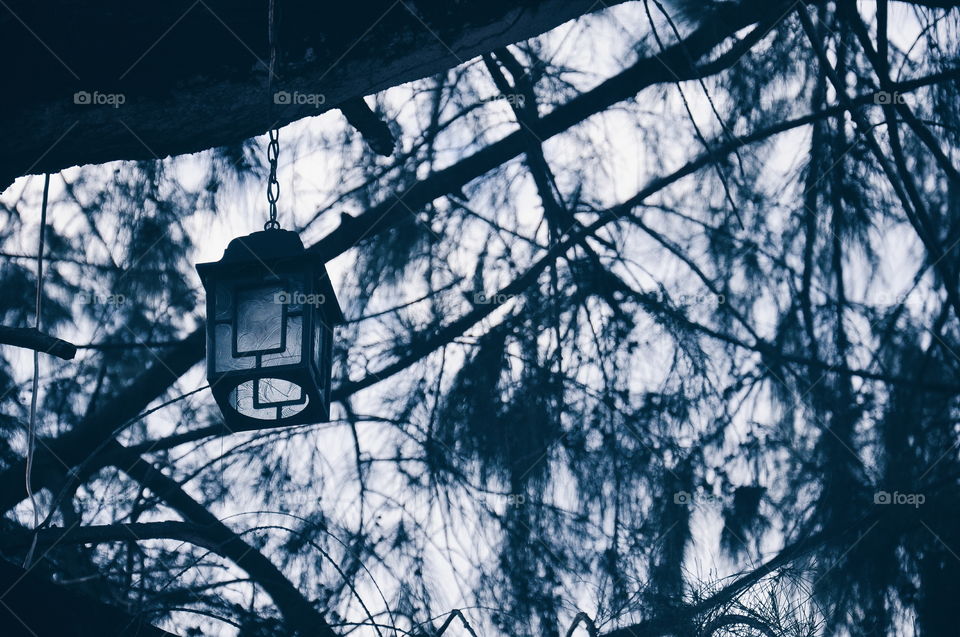Lantern on the tree. Old antique lamp. phuket, Thailand