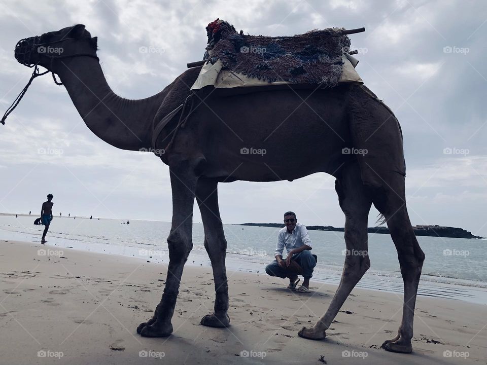 Beautiful camel and an adult man standing near the beach