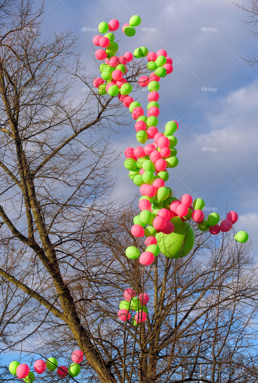 Bright pink and green balloons in a tree as 1st of May decoration at Esplanadi Park in Helsinki, Finland.