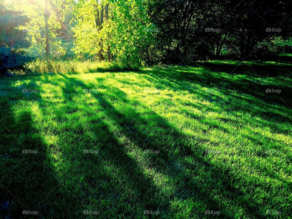 Scenic view during sunrise