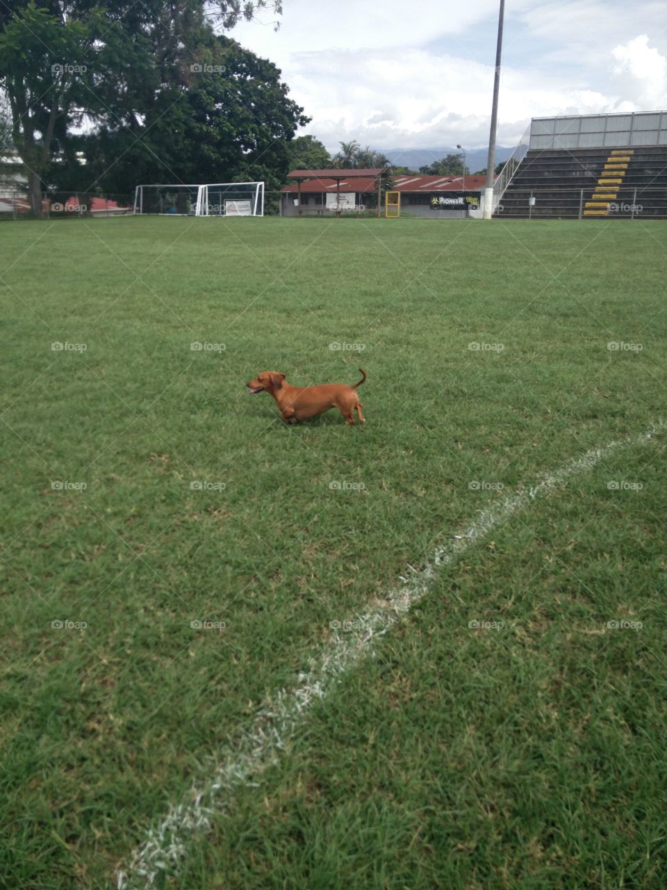 running one summer day