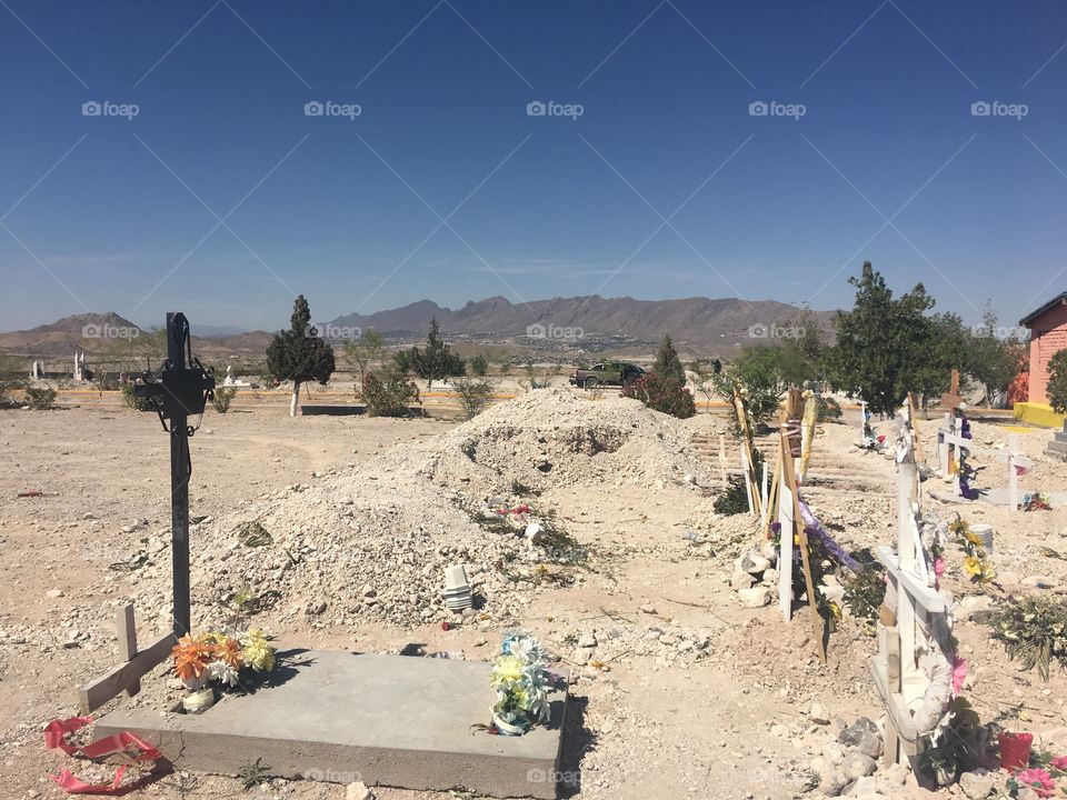 Desert Graveyard 