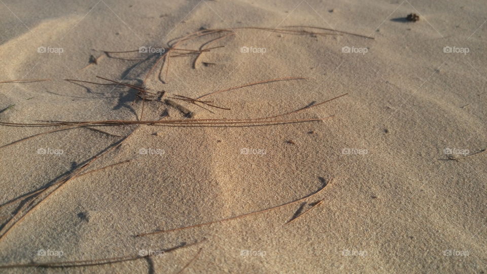 Sand, Beach, Seashore, Footprint, Desert