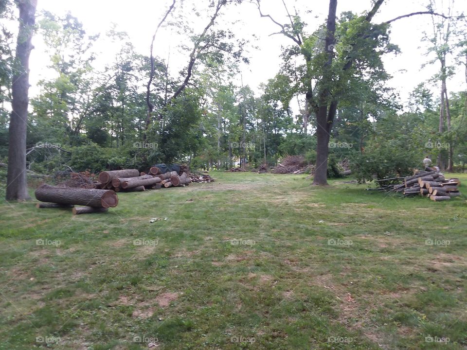 clearing backyard