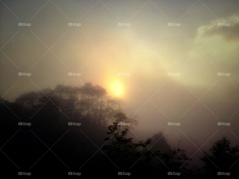 foggy sunrise at rain forest