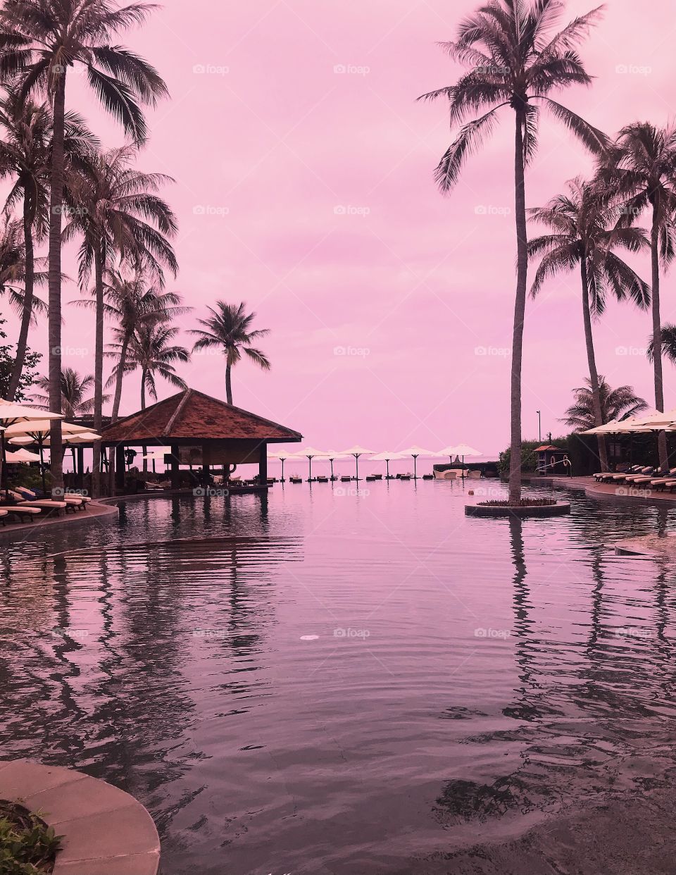 Swimming pool at a resort . pink color . Coconut trees, white umbrellas, pool bar , pool chairs 