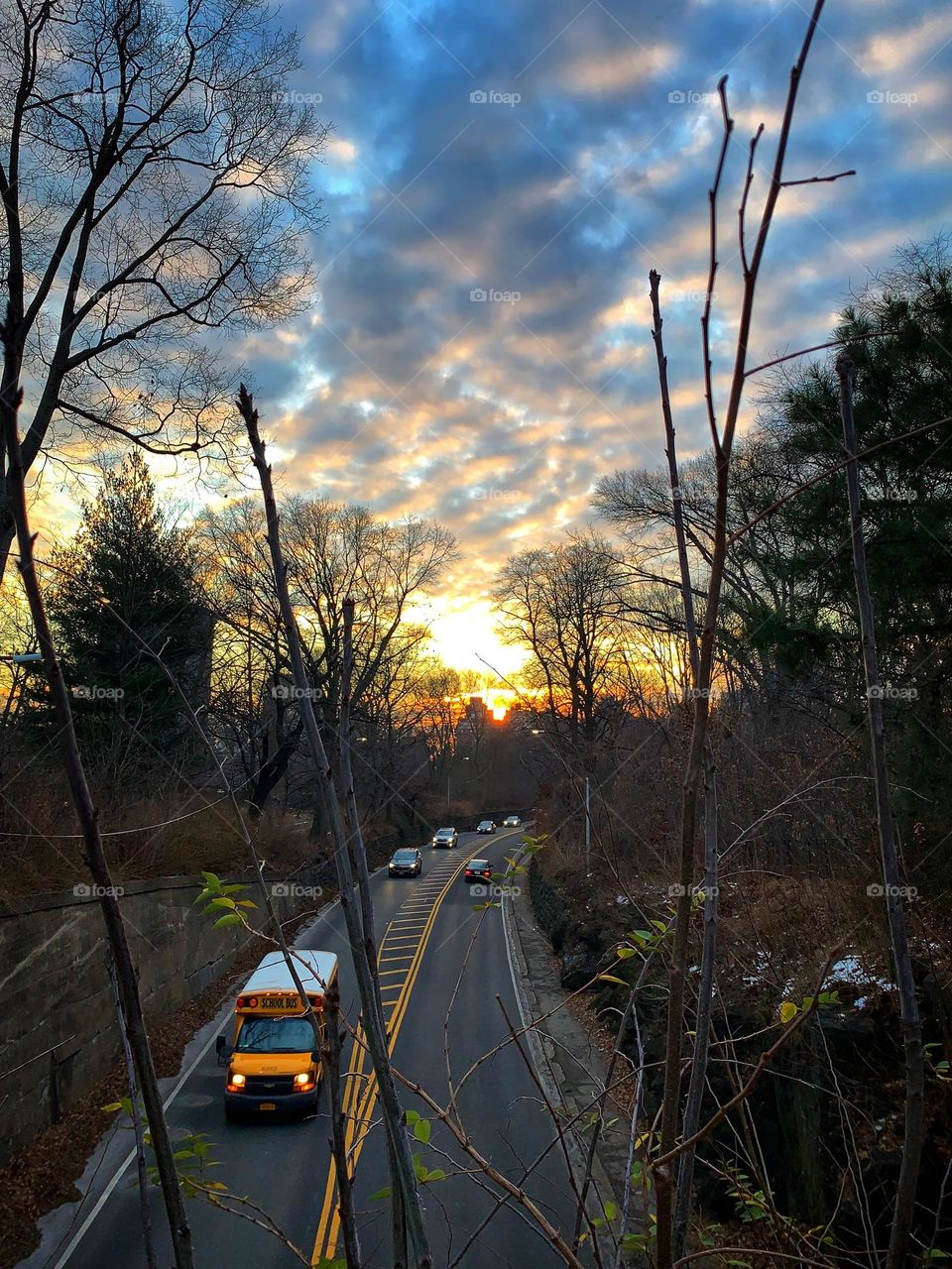 School bus and cars when the sun rises.