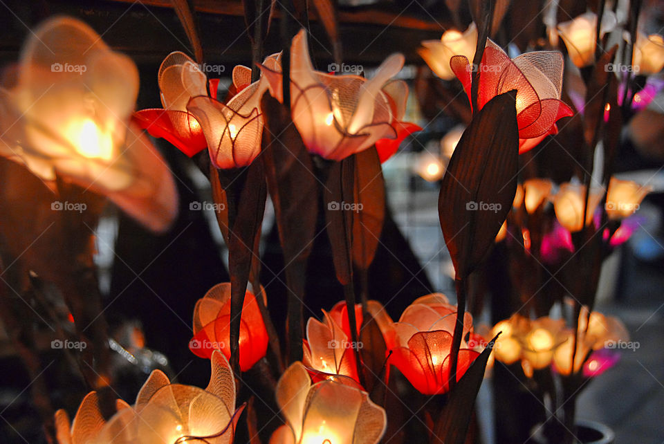 Beautiful lighting in flowers