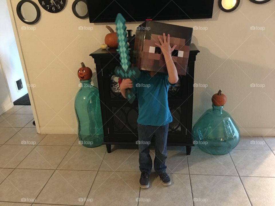 Minecraft costume facepalm.
Is it time to trick or treat yet?