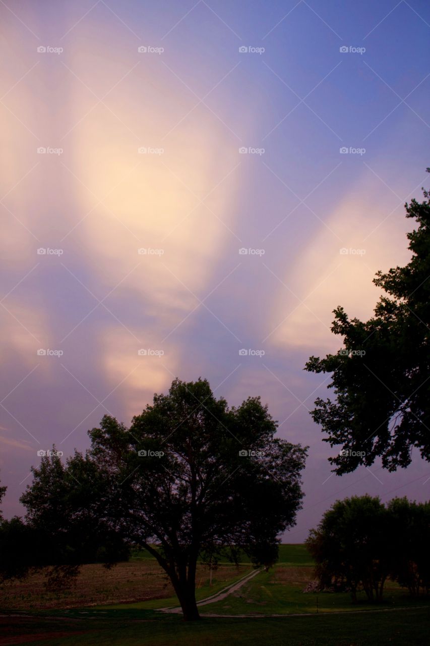 Freaky, Streaky Sky - these streaks were visible at sunset, but in the SE sky!