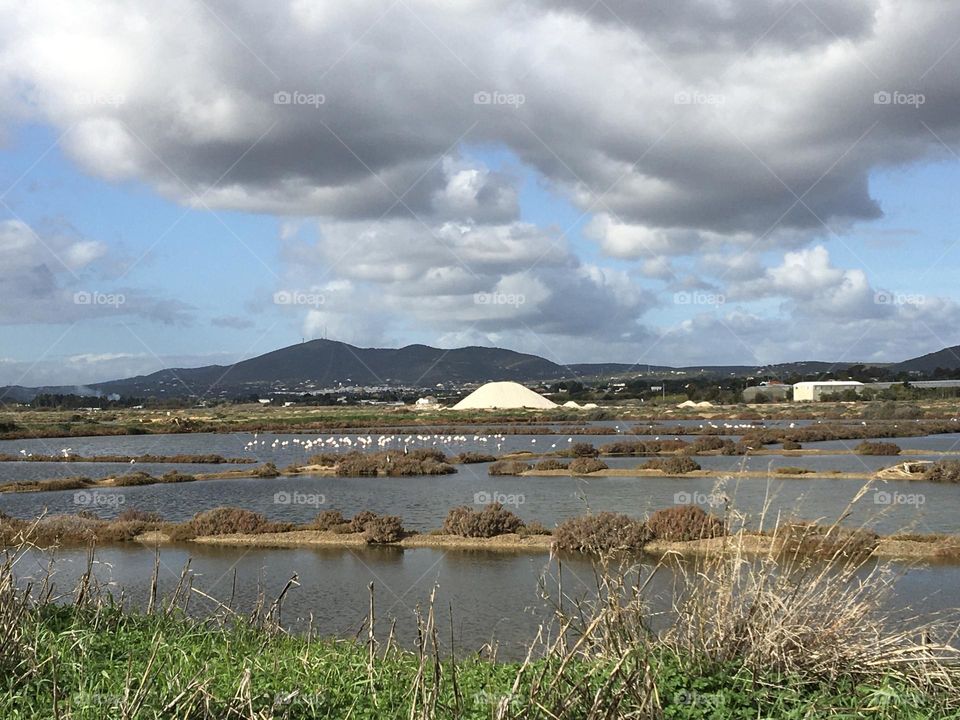 Salt marshes with flamingos and salt mountain 