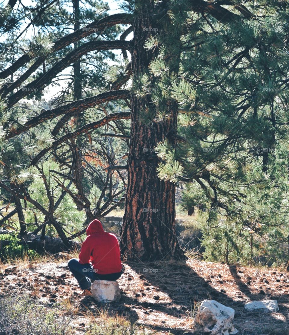 Contemplation in the woods