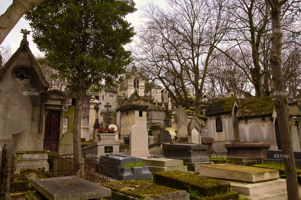 graveyard in the cemetery in paris