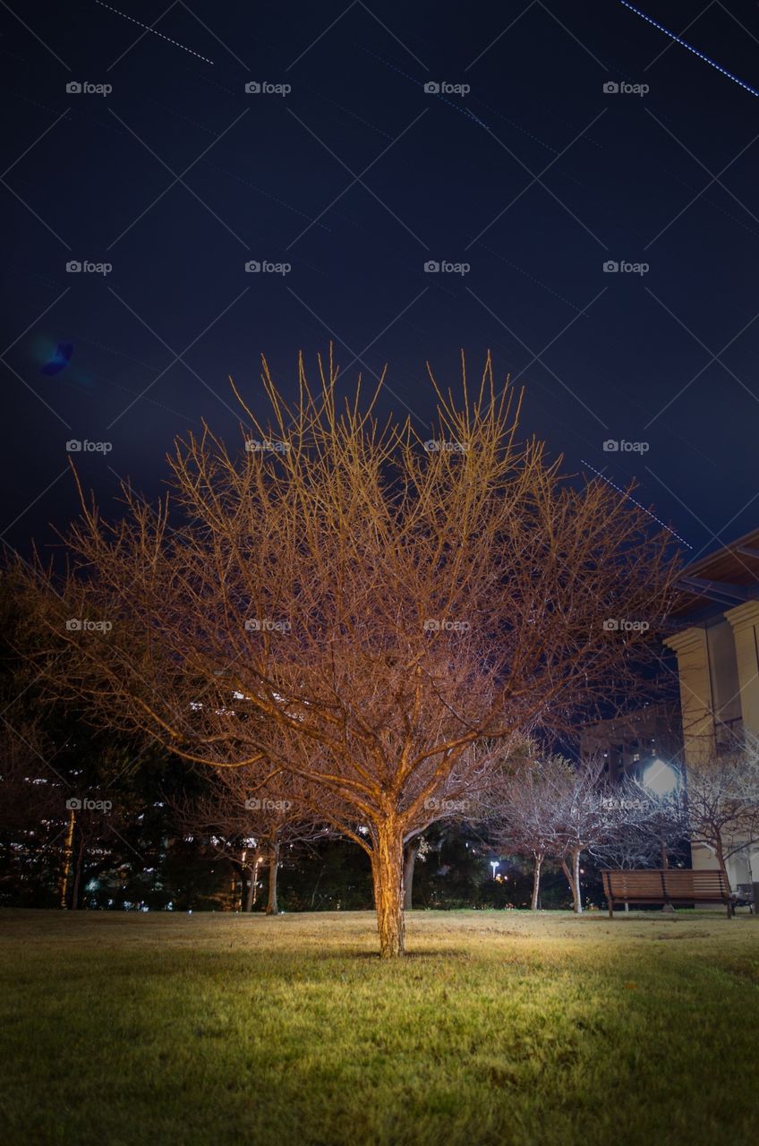 After a long day of exploring around Austin, I spent about half an hour making a star trail photo just outside the dorms at UT.