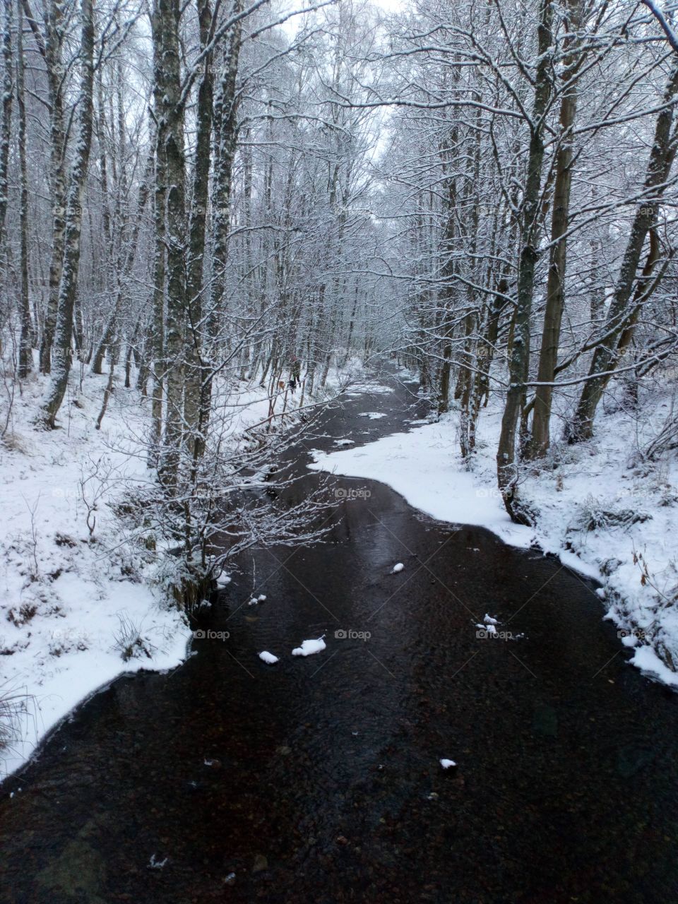 Snowy Scottish scenery
