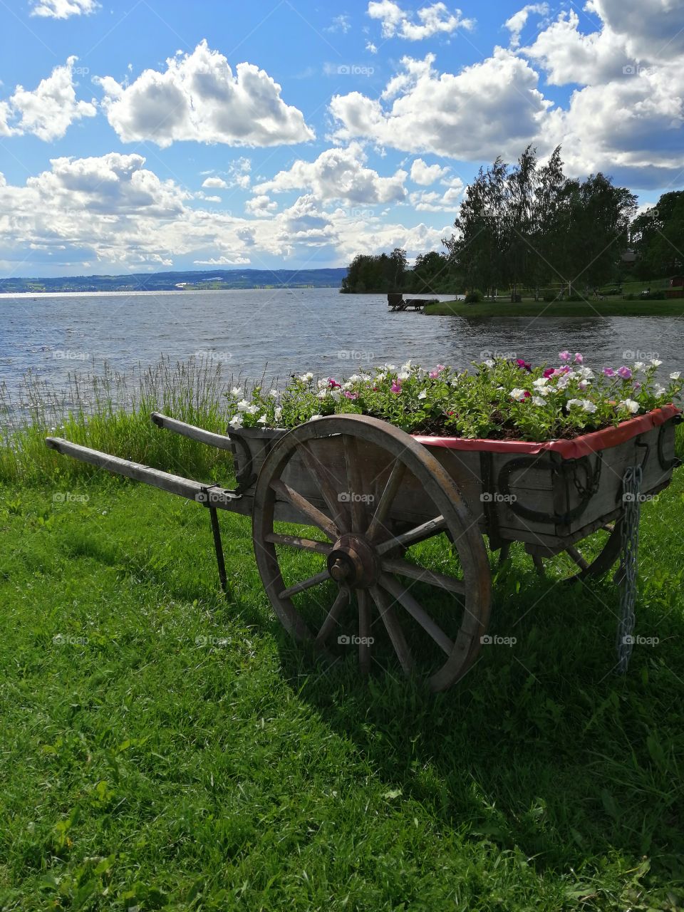 Good memories ❤️